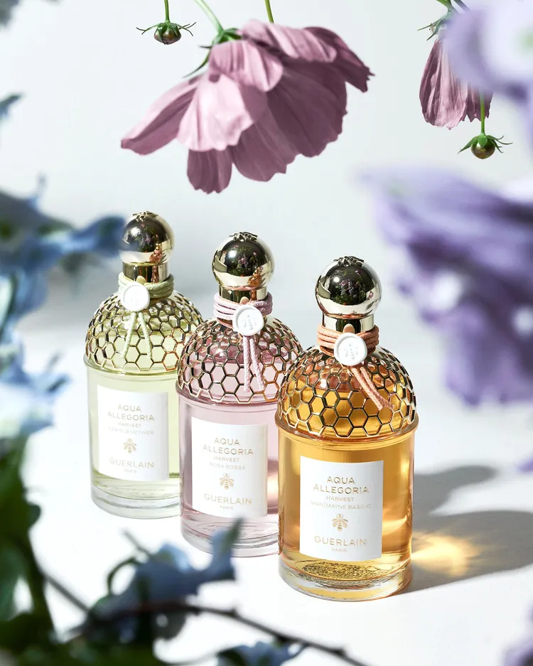 嬌蘭花草水語淡香水盛採限定版。品牌提供