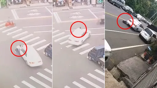 姊姊戀人趴引擎蓋攔不住男友 他開車「狠拖50公尺」把她甩路中