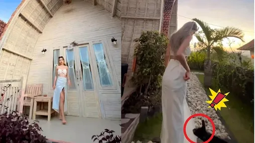 仙氣正妹漫步好夢幻 半路殺出「小黑仔」夢醒了