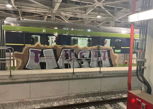 北中高捷運塗鴉客身分曝光　2歐洲男疑屬國際集團！犯案後赴東京