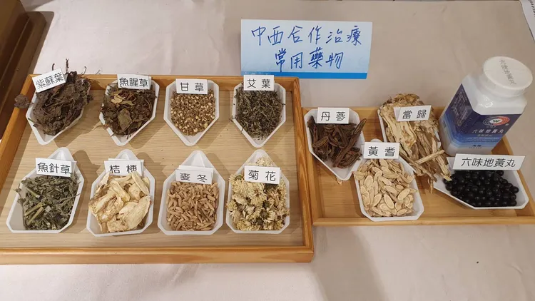 中西醫合療常用的中藥材。林芳如攝