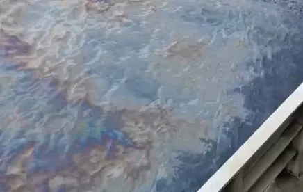 今日上午天使輪沈船處周圍海域油膜。海保署提供