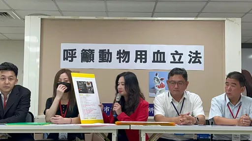 愛貓輸不明血液往生 飼主哀喊立法規範動物用血
