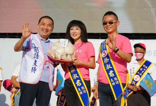 「淑君阿姨」錯了嗎?藍女議員幫2社區鋪地磚、修樹木 檢告當選無效輸了