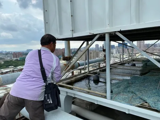 本土登革熱全國破千例!台南855例最多 全國累積1死9重症