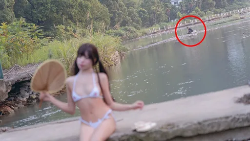 網美性感比基尼吸睛挫敗「2小時沒看我一眼」　結果連粉絲也都挺他