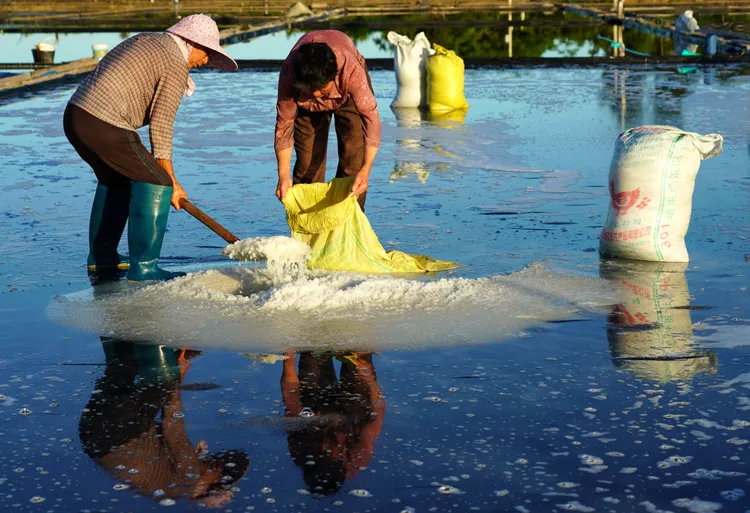 中國浙江樂清的鹽農正收成。新華社