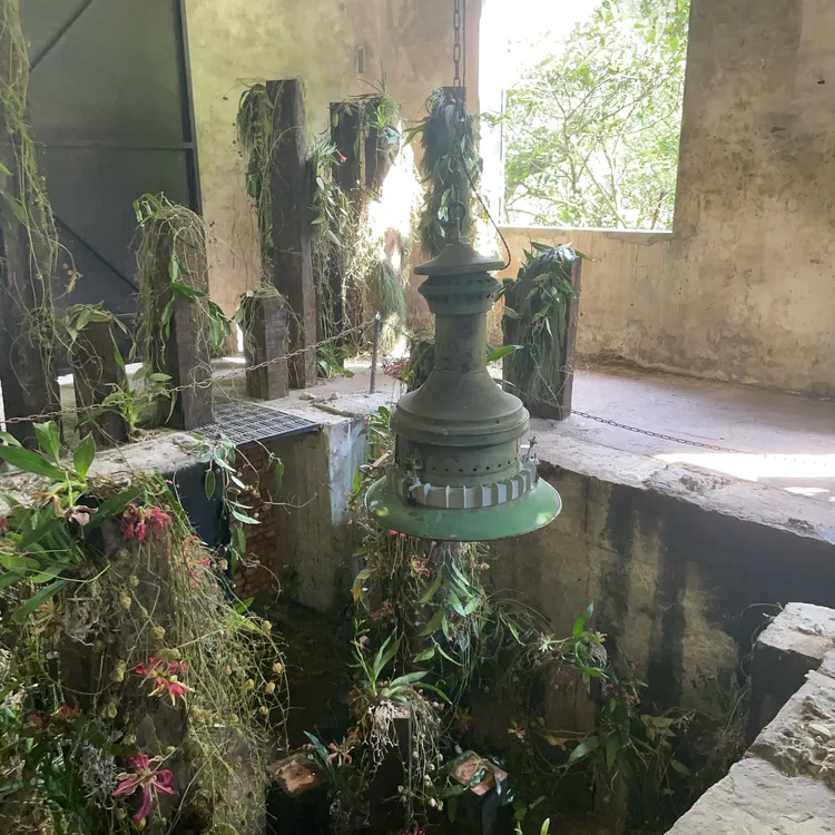 Aesop在三峽古礦廠改造的展覽空間「無礦Mineless」發表烏拉諾新香。品牌提供