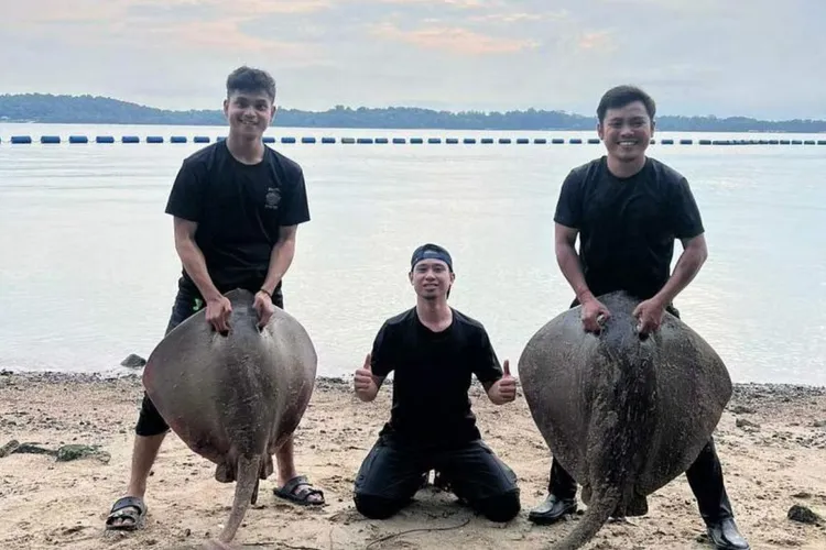 36歲男子說他和友人抓到3條魟魚。STOMP