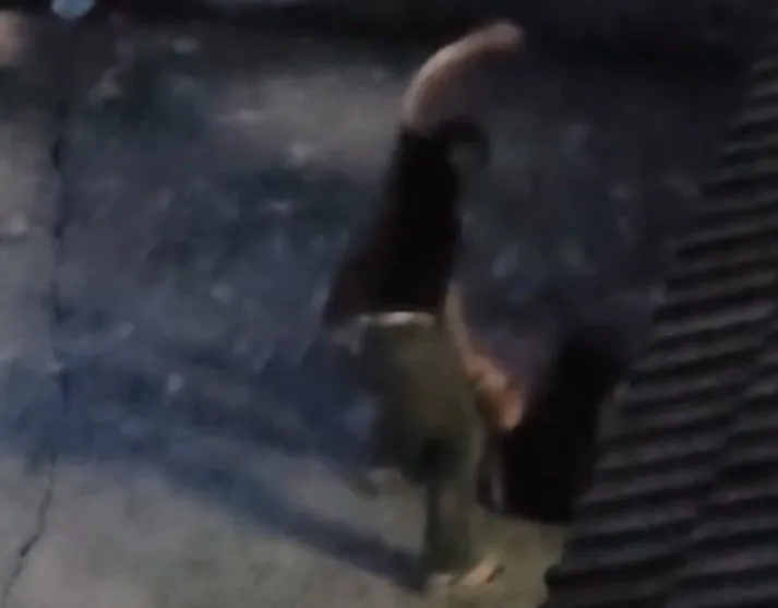 男子連續暴打倒在地上的母親。翻攝臉書爆料公社