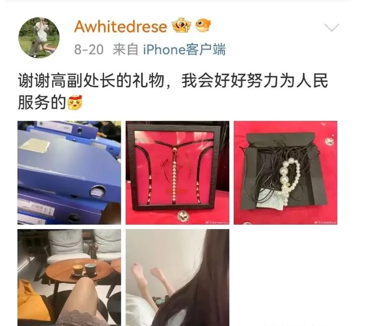「好好為人民服務」的美女科長曬出「高副處長的禮物」，其中有疑似「珍珠鍊型丁字褲」。翻攝新浪微博/@Awhitedrese