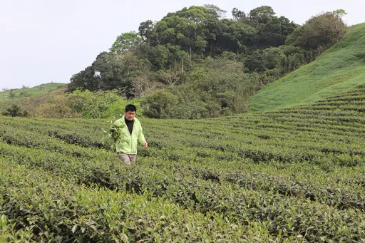 茶農林俊傑獲英國「美食奧斯卡」3星獎 因撞名JJ被刁難這件事