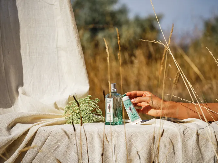 歐舒丹蕾絲花馬鞭草限量香氛系列。品牌提供