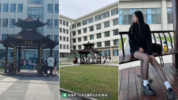 許多學生到涼亭打卡拍照。翻攝自抖音