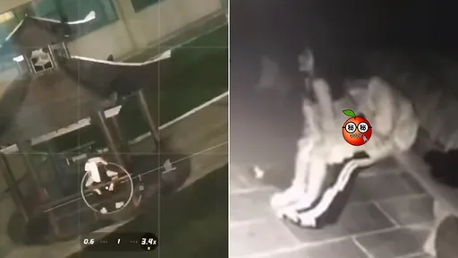 大學情侶「亭車做愛瘋林晚」　一場活春宮把它變打卡熱點
