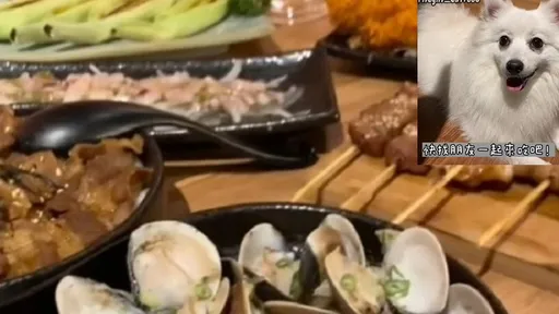 台中美食一級戰區!這家居酒屋餐點超豐富 還是寵物友善好選擇