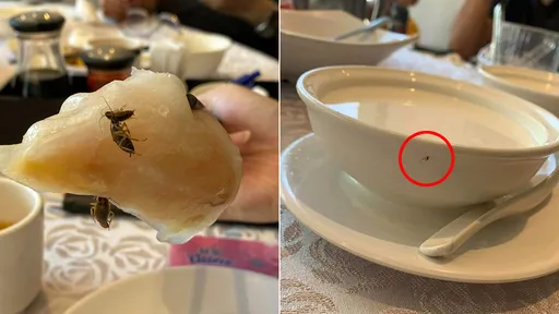 1顆港點竟帶3隻蟑螂 業者嗆「都打折了不然你要怎樣」