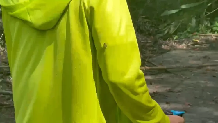 登山客外套遭蜜蜂盯上。讀者提供