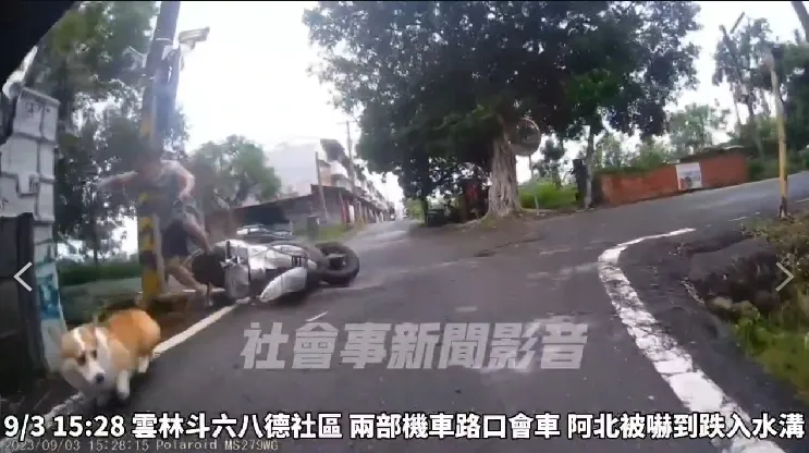 阿伯嚇到跳車摔進水溝，小短腿狂奔頭也不回。翻攝「社會事新聞影音」