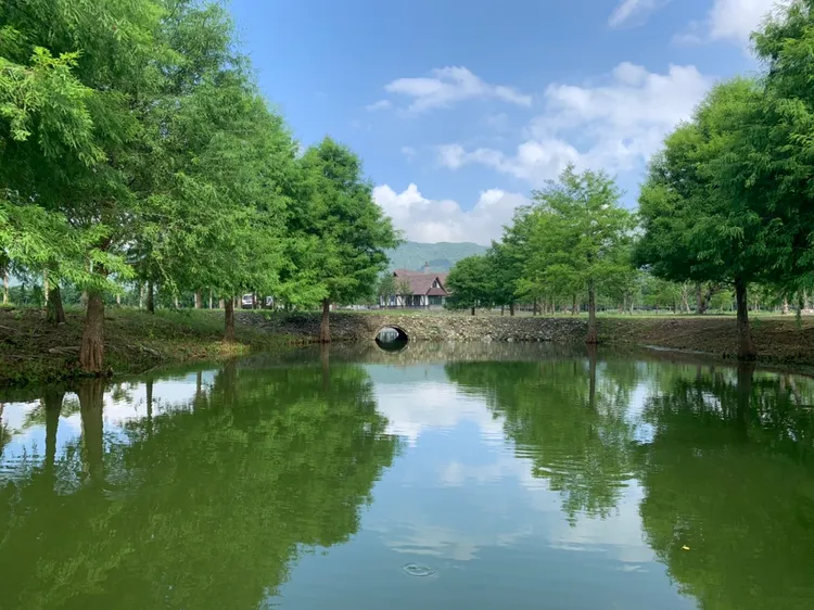 「童話版星巴克」超夢幻。翻攝自a2水岸粉專