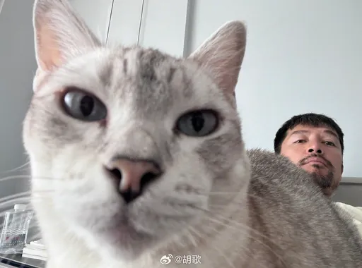 胡歌遭網友背刺「又怎麼了大小姐」 直球回擊20萬人叫好