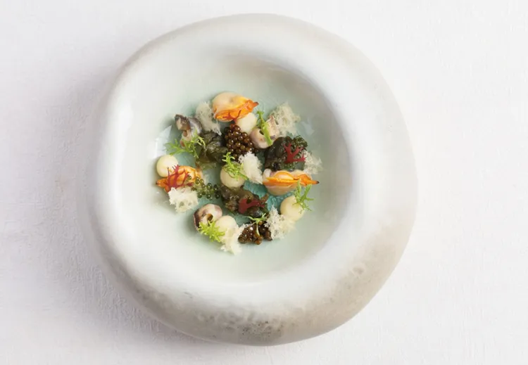 「海底世界」展現THOMAS CHIEN掌握海鮮料理的洗鍊，藻類與野生貝類也能躍昇為主角。 THOMAS CHIEN提供