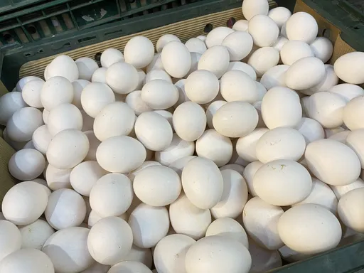 藍營指「超思」進口巴西蛋品有食安問題　農業部：不實訊息