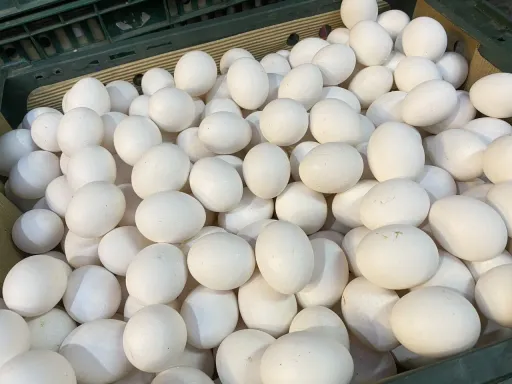 未驗貨先給錢?畜產會:合格才付款 超思先墊8814萬顆雞蛋款項