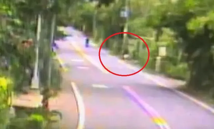 陳姓騎士過彎後撞上路邊電線桿，送醫不治。民眾提供