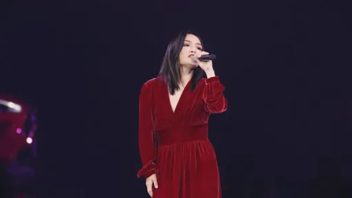 慘慘慘｜金曲歌后驚吐淪詐騙肥羊　被騙金額曝光不敢報警、不敢張揚