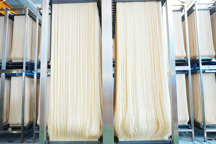 MBR模組今下水安置。衛工處提供