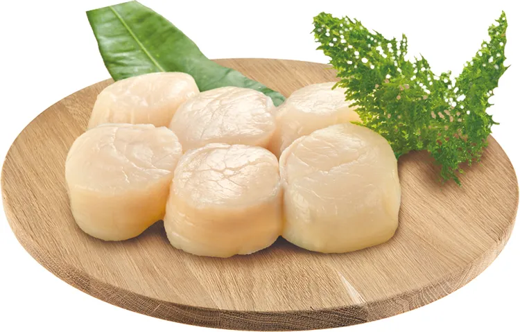 與50元硬幣一樣大的本生食干貝。業者提供