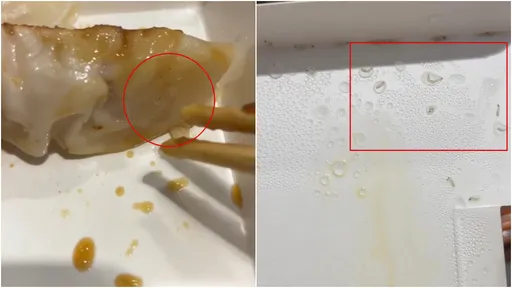 她控「八方雲集鍋貼」有活蛆!吃了肚痛全身癢 業者回擊:不可能