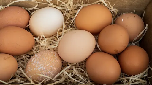 進口蛋幫台灣人省60億元？　「鬼扯蛋」媒體人：早餐店蛋價有沒有降回來