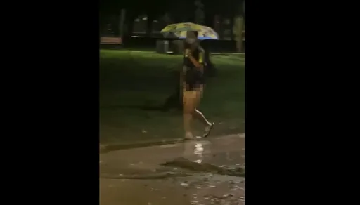 大安森林公園驚見「尻槍俠」 下身失蹤!邊撐傘邊XX...警循線逮22歲男