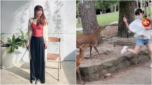 奈良餵鹿被咬崩肩帶!辣媽驚喊「我奶子掉出來了」 父子檔現實反應超爆笑