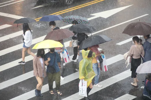 海葵雨量破1000毫米超驚人！這區轟出「紫一片」　鴛鴦今生成「雨炸4天」