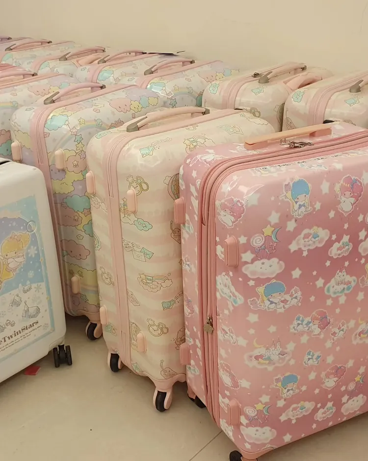 行李箱也買好幾個。翻攝自寇乃馨臉書