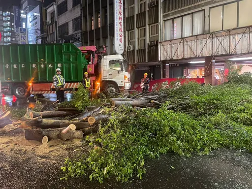 海葵強勢來襲！台南95棵路樹倒了　這棵樹橫躺路面阻交通2小時