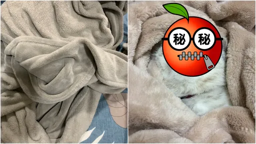 好市多神物「一年四季都在用」 內行人爆買10件!撩人床照全曝光