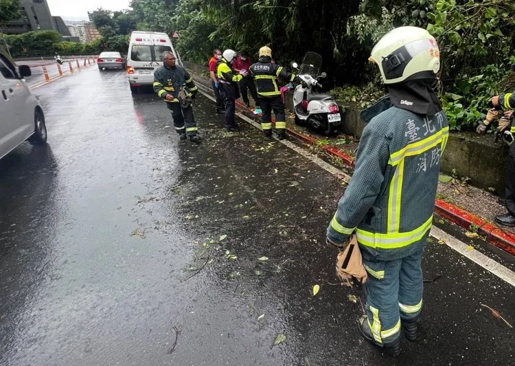仰德大道一段有女騎士被倒樹壓傷送醫。消防局提供
