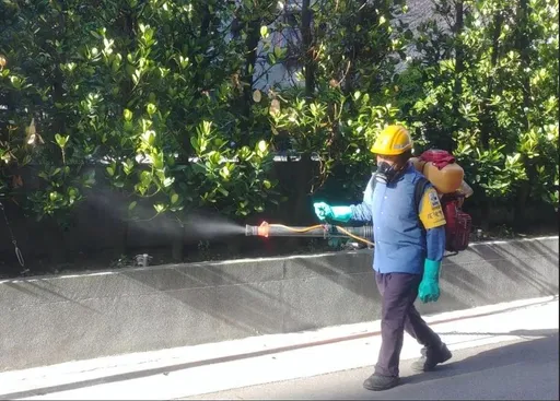 台北登革熱疫情延燒 蔣萬安警告:這年齡層感染比例高出1成