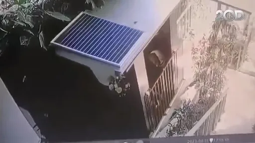 峇里島玻璃電梯急速倒滑5死「影片曝光」 度假村用13萬元換家屬不提告