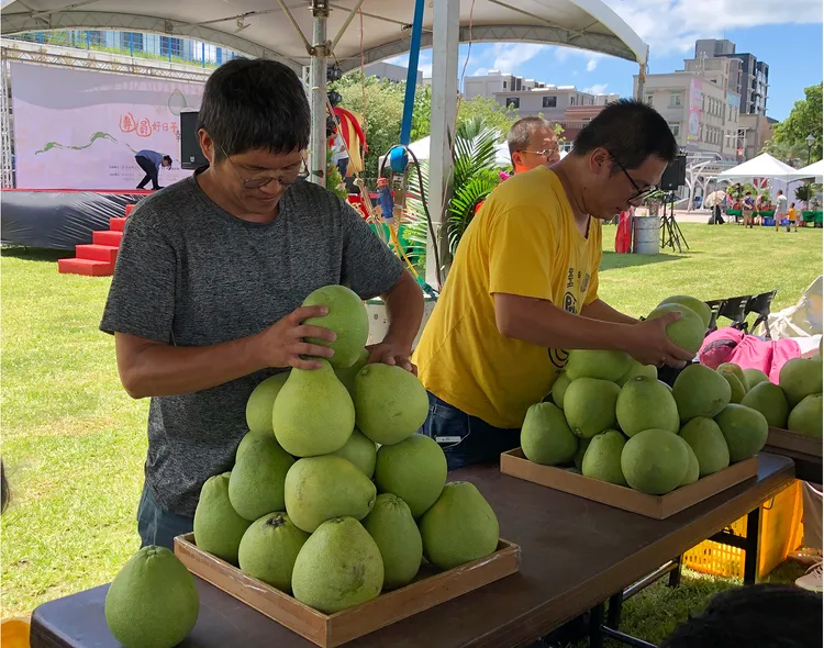 9月16、17日將在八里左岸永續環境教育中心前廣場舉辦文旦柚展售會，還有釣文旦、疊文旦等文旦柚趣味競賽。農業局提供