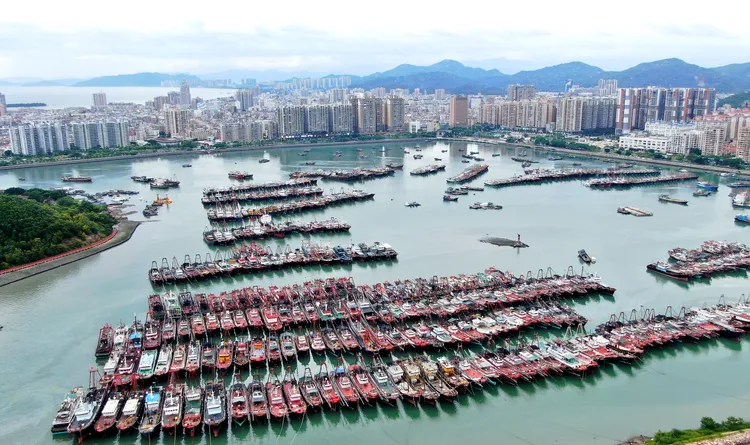 在廣東汕尾避風的漁船。新華社