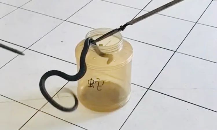 伺機夾入桶中。消防局提供