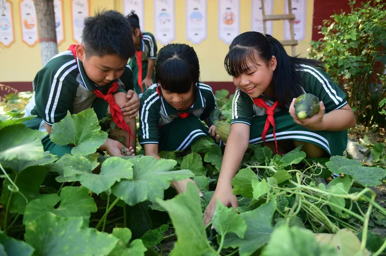 中國河北滄州市一間小學的「校園豐收節」活動。新華社