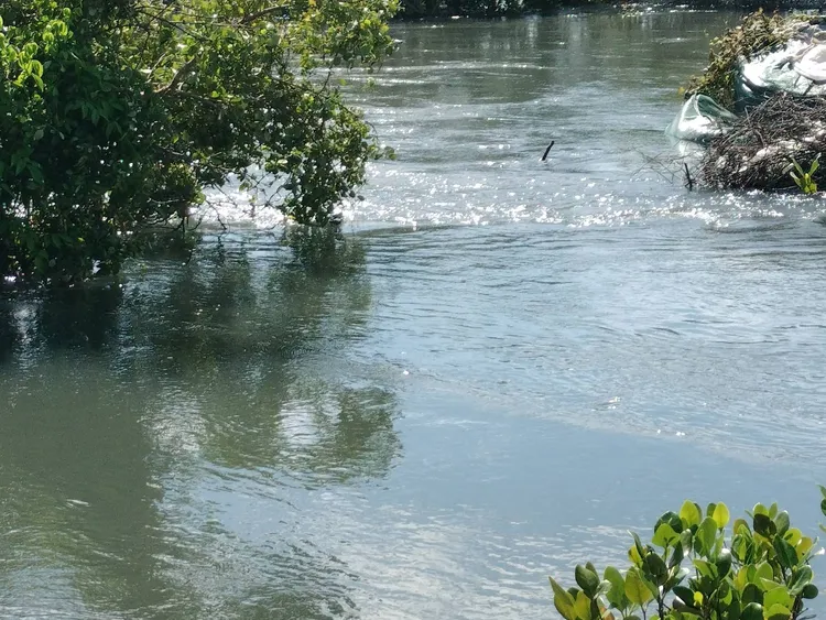 安南區傳出潰堤，海水湧入。蔡麗青提供
