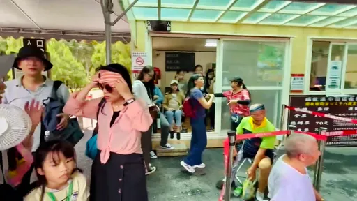 南投「瑞龍瀑布」驚傳虎頭蜂螫傷旅行團 21人送醫!老伯連中好幾個包