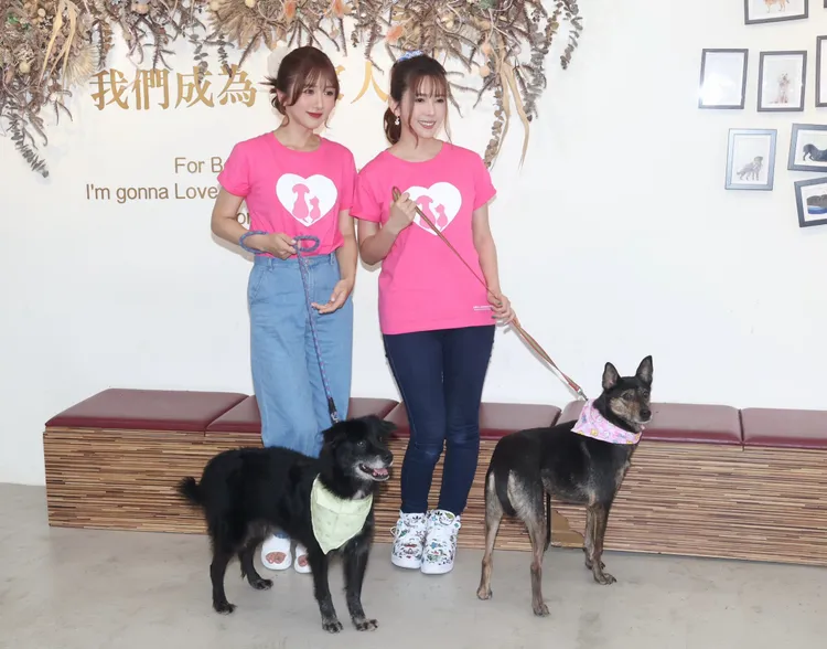 大槻響（左）透露波多野結衣常傳狗女兒的照片，讓她也很想養狗。彭欣偉攝